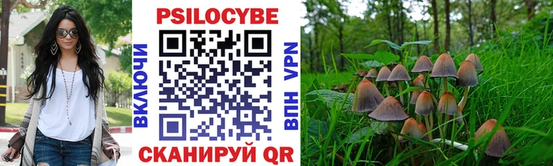 закладки  Холм  Галлюциногенные грибы Cubensis 